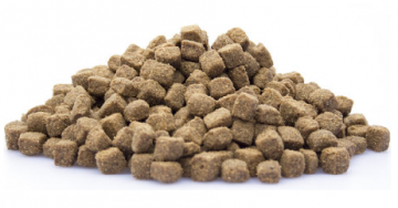 Brokken   005   adult active 0