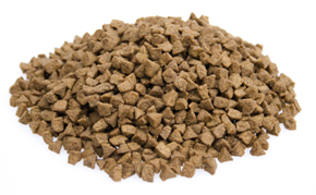 Brokken   premium kat indoor