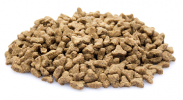 Brokken   premium kat light