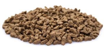 Brokken   premium kat